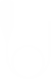 Ureteroscope